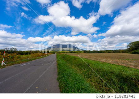 北海道の道路の風景　羊蹄山方面 119202443
