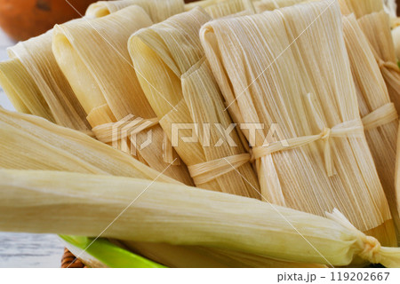 メキシコ料理　タマレス 119202667