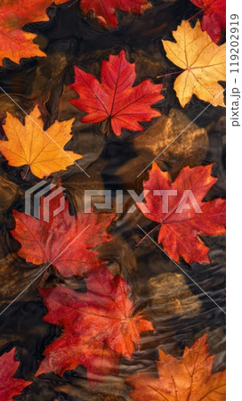 Colorful Autumn Leaves Floating on Water 119202919
