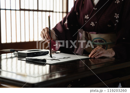 書道をする外国人女性 書道をする外国人女性 119203260