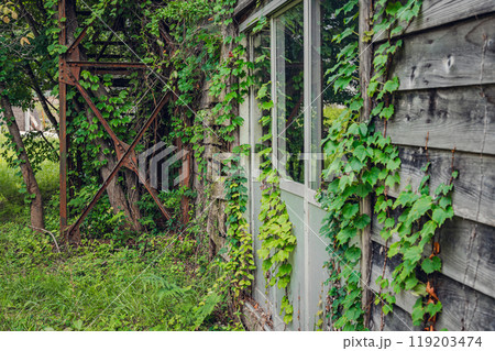 荒れた風景 荒れた風景 119203474