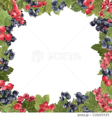 Frame watercolor of delicious black and red currant and their leaves. Botanical illustration. Frame watercolor of delicious black and red currant and their leaves. Botanical illustration. 119203535