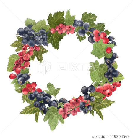 Watercolor frame of delicious black and red currant and their leaves. Botanical illustration. Watercolor frame of delicious black and red currant and their leaves. Botanical illustration. 119203568