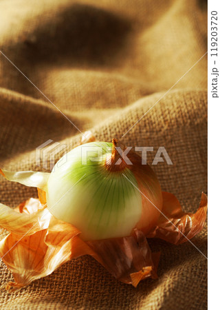 皮が剥けた玉ねぎ 皮が剥けた玉ねぎ 119203720
