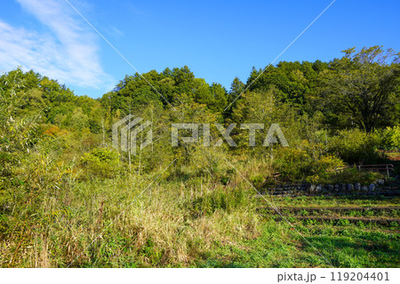 十勝川の河川敷（千代田堰堤付近）からあちらこちらを見て 119204401