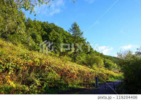 十勝川の河川敷（千代田堰堤付近）からあちらこちらを見て 119204406