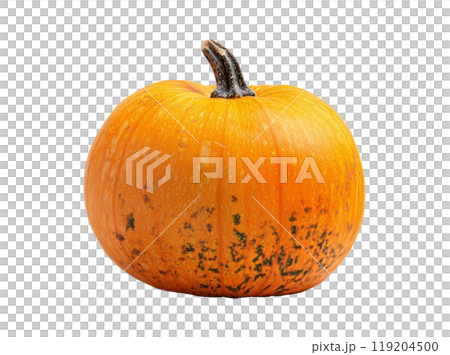 Bright orange pumpkin resting on a white background in preparation for fall decorations 119204500