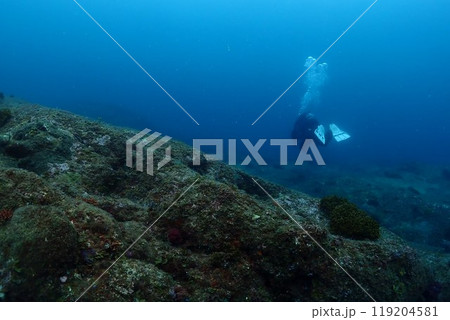 海の中の風景 海の中の風景 119204581