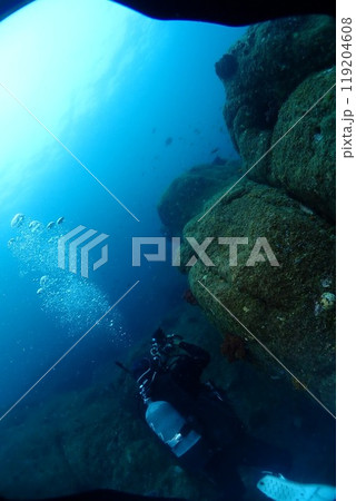 海の中の風景 海の中の風景 119204608