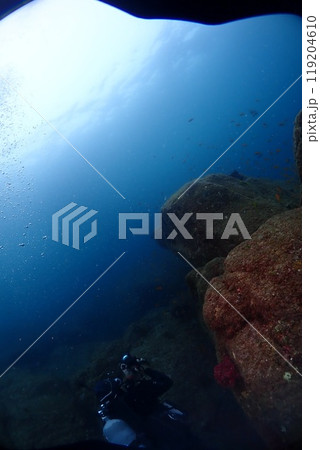 海の中の風景 海の中の風景 119204610