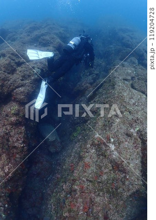 海の中の風景 海の中の風景 119204728