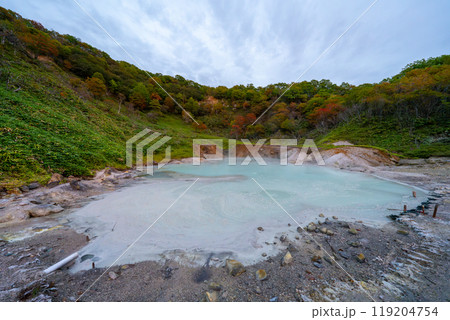 北海道　登別温泉　大湯沼の風景 119204754