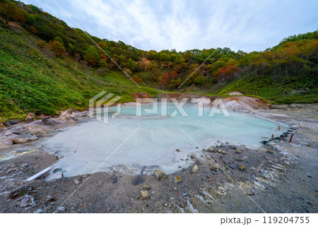 北海道　登別温泉　大湯沼の風景 119204755