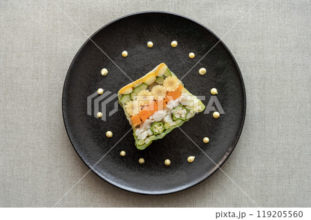 カラフルな夏野菜のテリーヌ カラフルな夏野菜のテリーヌ 119205560