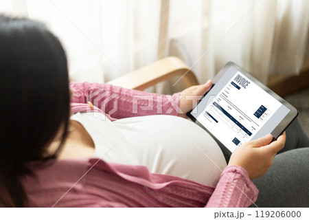 Invoice on computer screen from accounting application. Snugly. 119206000