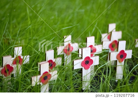 Remembrance day. White crosses with red poppies surrounded by vibrant green grass 119207716