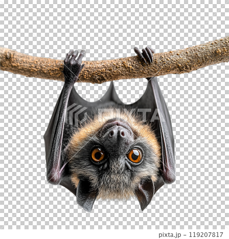 A mischievous black kitten, wearing a pointed witch's hat, peeks out from a cauldron, isolated on a transparent background. A mischievous black kitten, wearing a pointed witch's hat, peeks out from a cauldron, isolated on a transparent background. 119207817