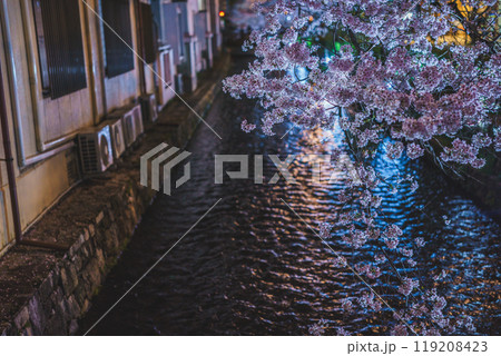 京都市中京区の木屋町高瀬川の夜桜を撮影 119208423