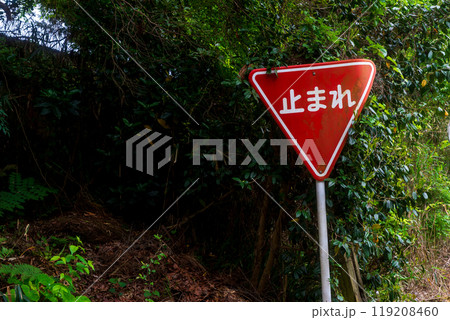 交通事故防止のための道路標識や道路標示 交通事故防止のための道路標識や道路標示 119208460