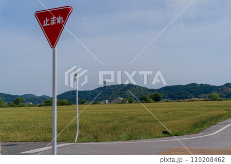 交通事故防止のための道路標識や道路標示 119208462