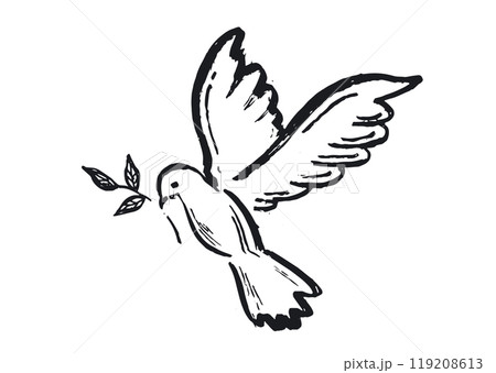 Dove of peace hand drawn illustration.	 119208613
