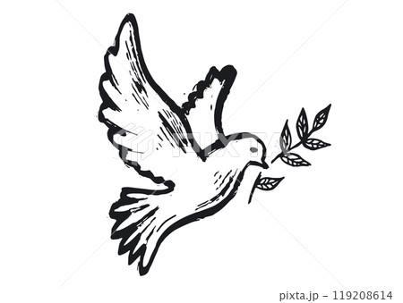 Dove of peace hand drawn illustration.	 119208614