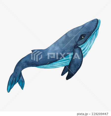 Blue humpback whale on white background. Watercolor illustration of cute cartoon whale. Sea animals in underwater world. Children's picture of big sea fish. Vector 119209447