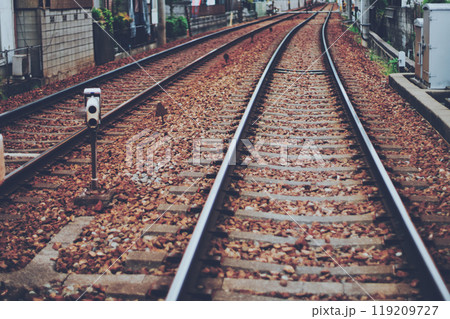 電車の線路風景 119209727