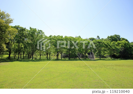 初夏の公園　爽やか　雑木林　芝生広場 119210040