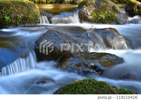 神社の渓流 神社の渓流 119210426