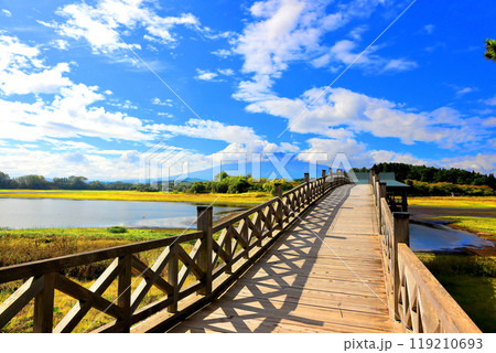 日本一の木造三連太鼓橋  鶴の舞橋　 119210693