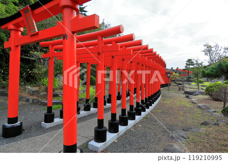 高山稲荷神社　千本鳥居 119210995