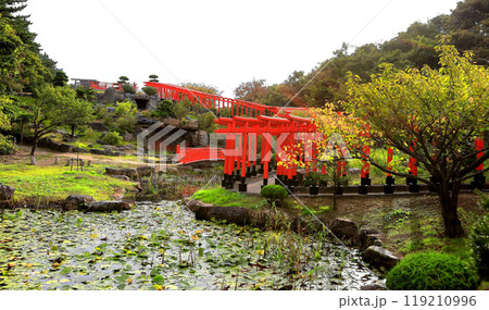 高山稲荷神社 千本鳥居 高山稲荷神社 千本鳥居 119210996