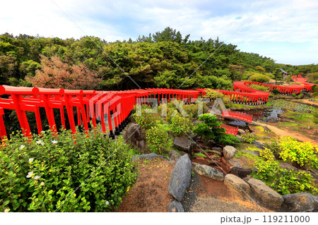 高山稲荷神社　千本鳥居 119211000