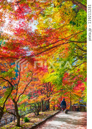 香嵐渓（秋） 119211281