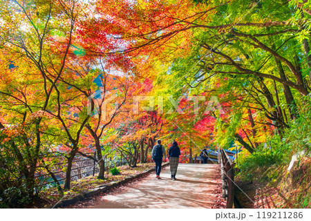 香嵐渓(秋) 香嵐渓(秋) 119211286