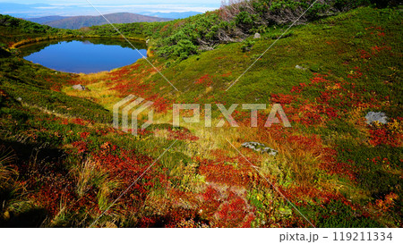 北海道 旭岳 紅葉 北海道 旭岳 紅葉 119211334