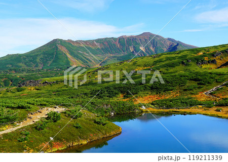 北海道　旭岳　紅葉 119211339