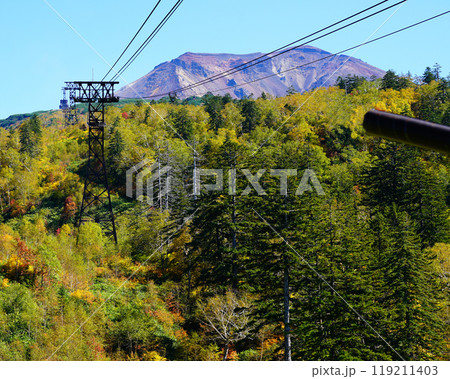 北海道　旭岳　紅葉 119211403