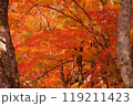 津和野城跡モミジの紅葉2 119211423