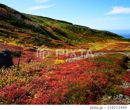 北海道 旭岳 紅葉 北海道 旭岳 紅葉 119211449