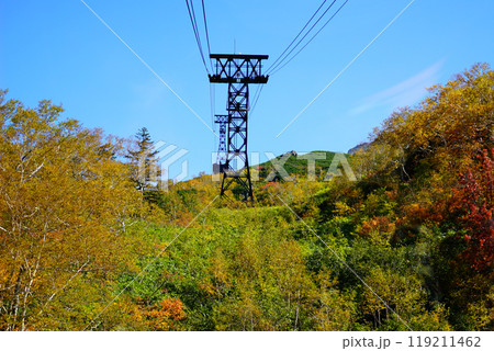 北海道　旭岳　紅葉 119211462