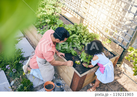 Gardening, father and child with plants from above, teaching and learning with growth in nature. Small farm, sustainable food and dad helping daughter in vegetable garden with love, support and fun. 119211903