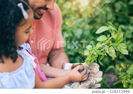 Garden, plant grow and happy child, father or family gardening, nature care or agriculture in backyard on Earth Day. Leaves, outdoor sustainability and learning kid, dad or green family teaching girl 119211946