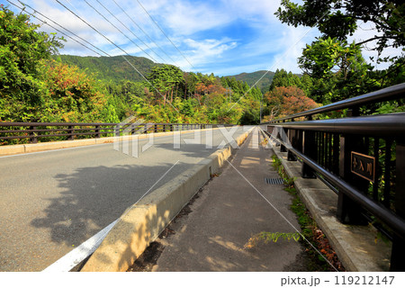 小入川橋より紅葉を俯瞰 119212147