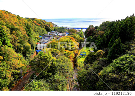 小入川橋より紅葉を俯瞰 119212150