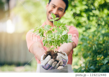 Man, hands and holding seedling in garden with growth, sustainability and leaves in summer sunshine. Guy, landscaping and happy for healthy environment, soil and outdoor with plants in backyard 119212440
