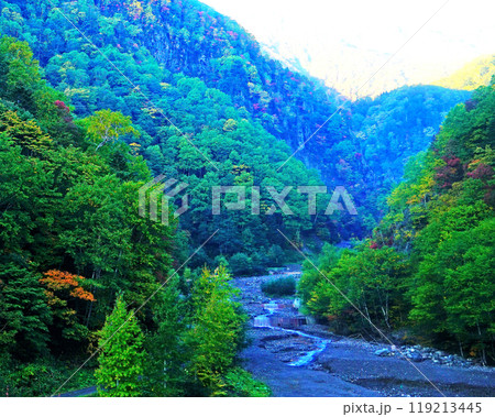 北海道 黒岳 紅葉 北海道 黒岳 紅葉 119213445