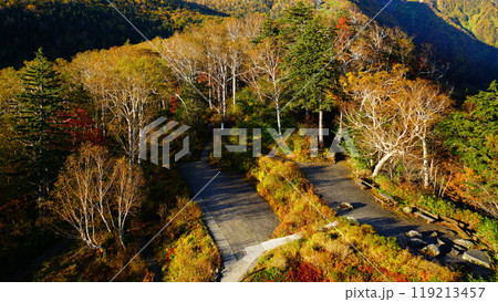 北海道　黒岳　紅葉 119213457