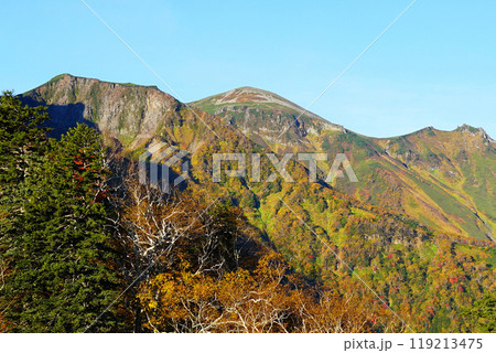 北海道　黒岳　紅葉 119213475